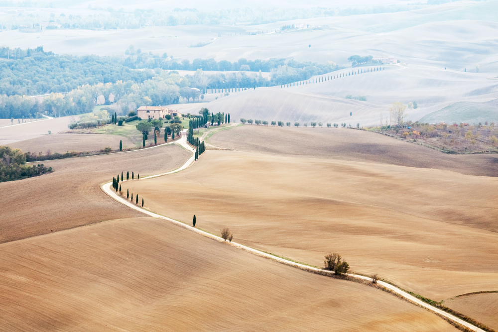 Cyprysowa aleja w Val d'Orcia w Toskanii z falującymi wzgórzami i winnicami