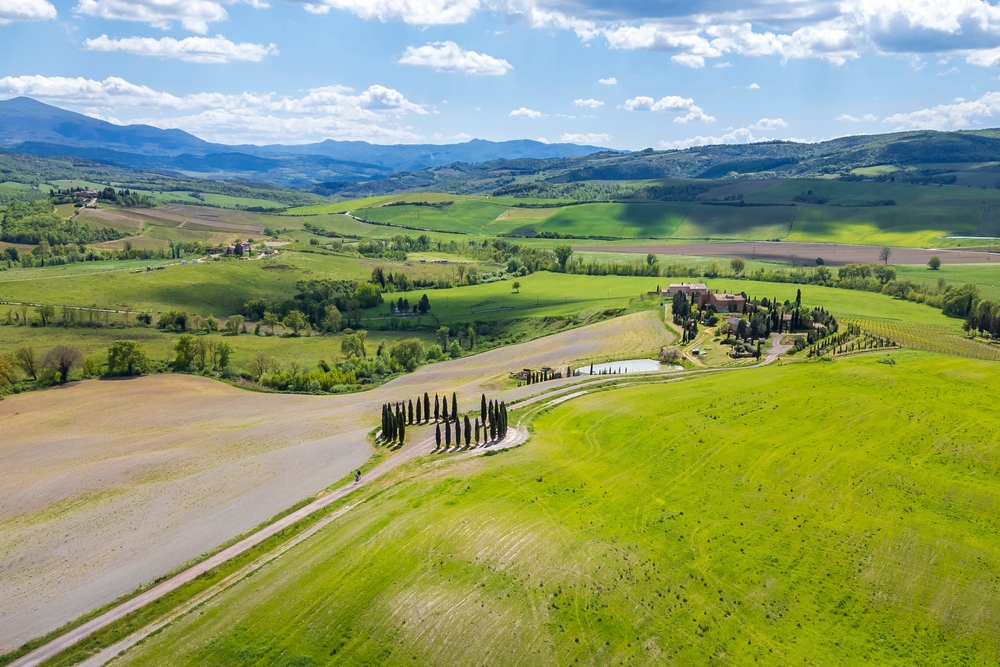 Droga SP146 przez Val d'Orcia w Toskanii z cyprysami i wzgórzami