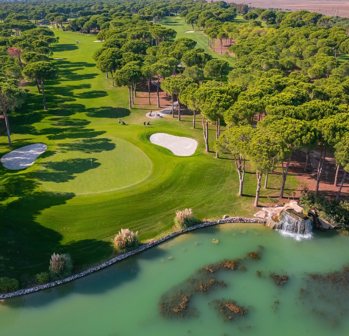 Pole golfowe w Belek wśród sosen, z jeziorem