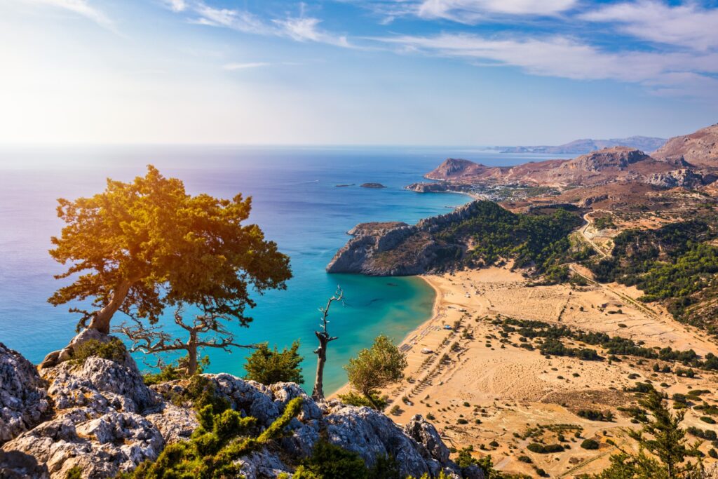 Panoramiczny widok z góry na turkusową zatokę z plażą, skalistym wybrzeżem i sosnami na pierwszym planie. Wyspa Rodos