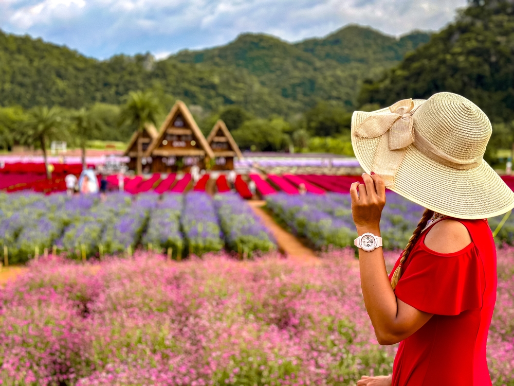 Kwietne pola i domki w Hokkaido Flower Park w Khao Yai