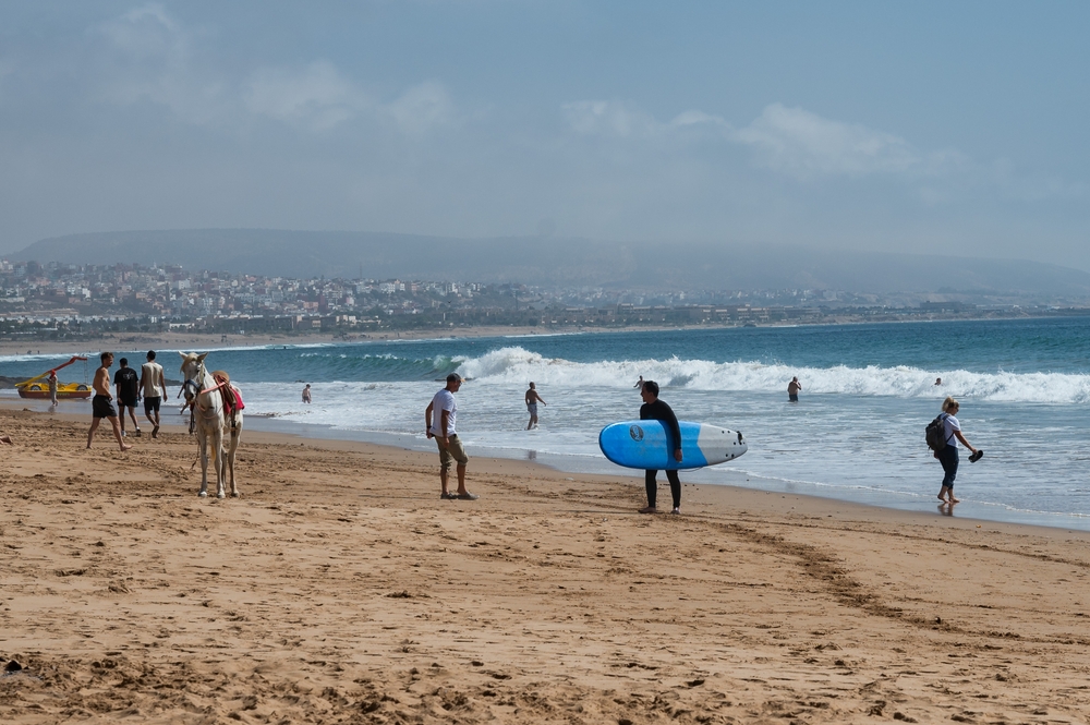 Surfer z deską i wielbłąd na plaży pod Taghazout, w tle zabudowa wybrzeża