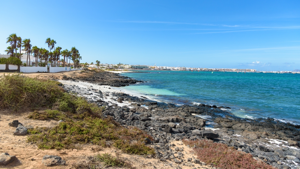 Skalisty brzeg w Corralejo z palmami, w tle zabudowa miasteczka nad turkusową wodą
