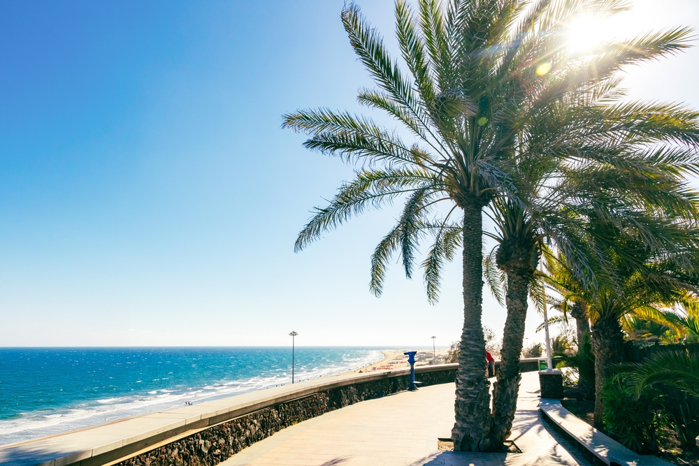 Palmy nad promenadą w Maspalomas, w dole plaża i Ocean Atlantycki