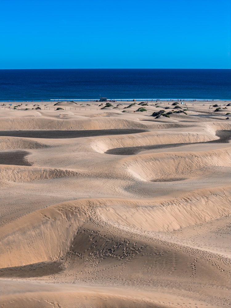 Wydmy Maspalomas z kępami krzewów schodzące do Oceanu Atlantyckiego