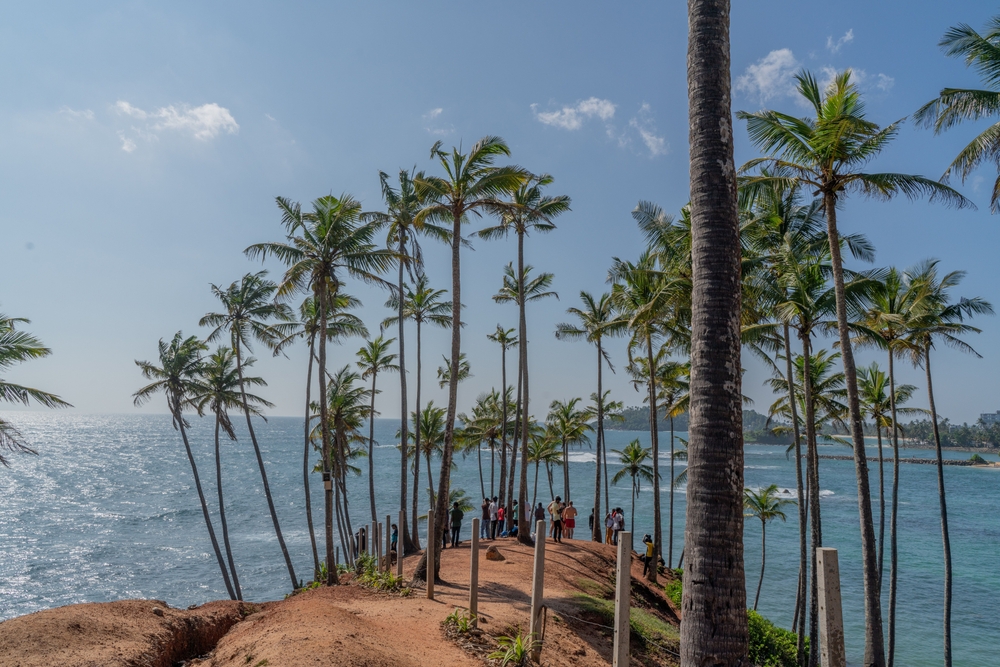 Coconut Tree Hill w Mirissie, palmy kokosowe na klifie nad oceanem
