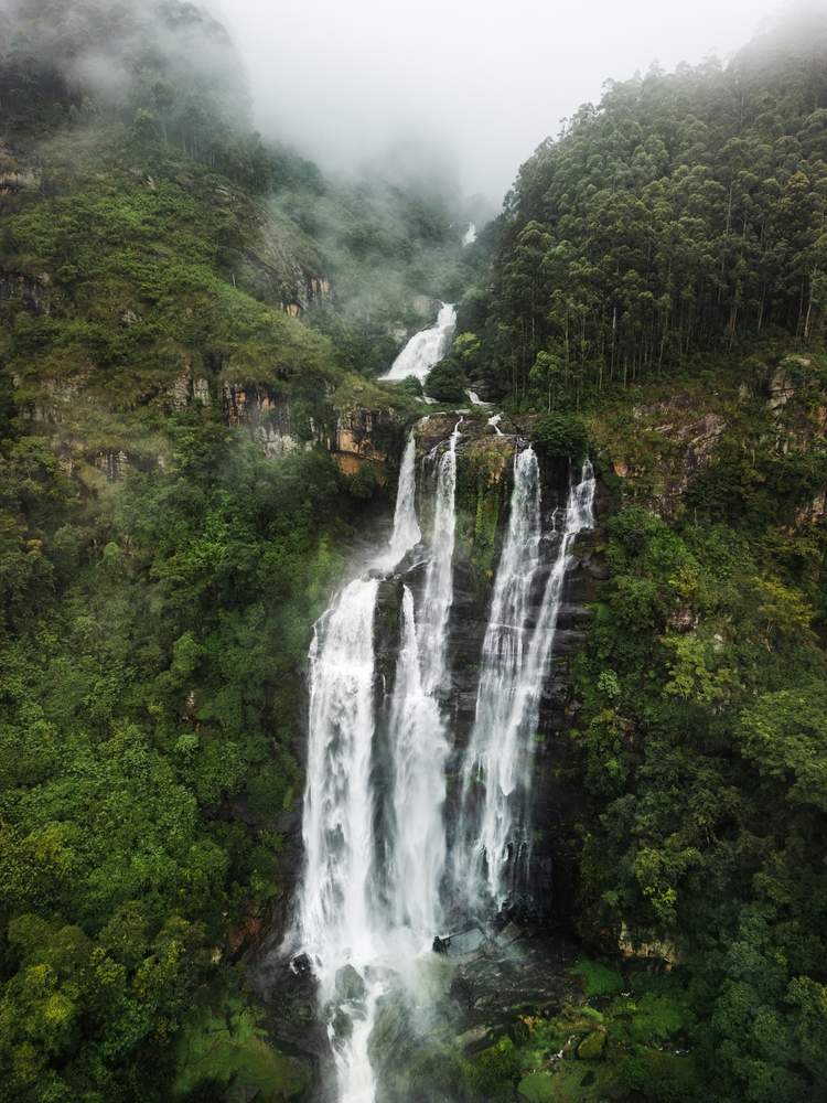 Wodospad Lover's Leap wśród zalesionych stoków w Nuwara Eliya