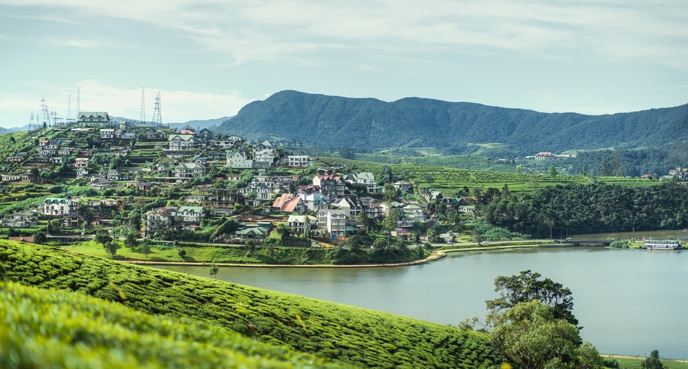 Jezioro Gregory w Nuwara Eliya otoczone polami herbaty