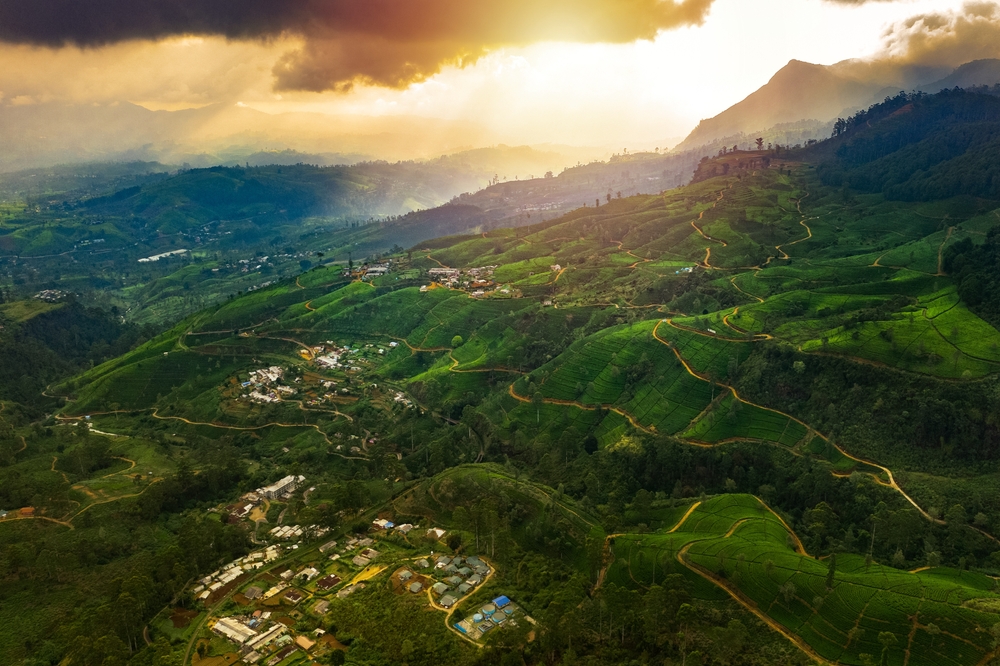 Plantacje herbaty w dolinie pod Nuwara Eliya z lotu ptaka