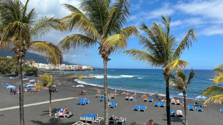 Plaża z ciemnym piaskiem w Puerto de la Cruz, palmy i parasole nad oceanem