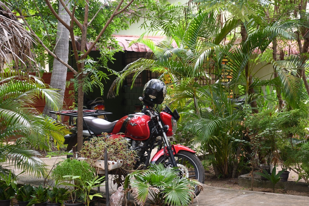 Czerwony motocykl zaparkowany wśród palm i roślin w ogrodzie w Batticaloi
