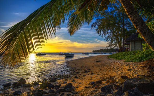 Mauritius z Warszawy