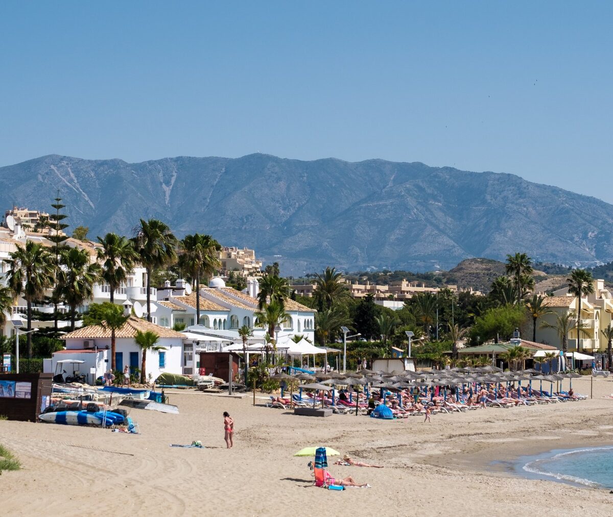 Plaża La Cala de Mijas, leżaki i parasole pod palmami, w tle pasmo Sierra de Mijas