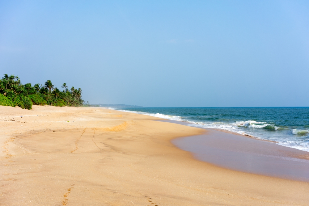 Szeroka, pusta plaża w Tangalle z pasem palm kokosowych nad oceanem