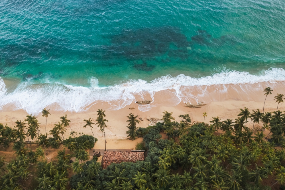 Silent Beach w Tangalle z lotu ptaka, fale na piasku i gęsty pas palm