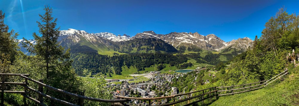 Engelberg w dolinie latem, widok z lasu nad wsią