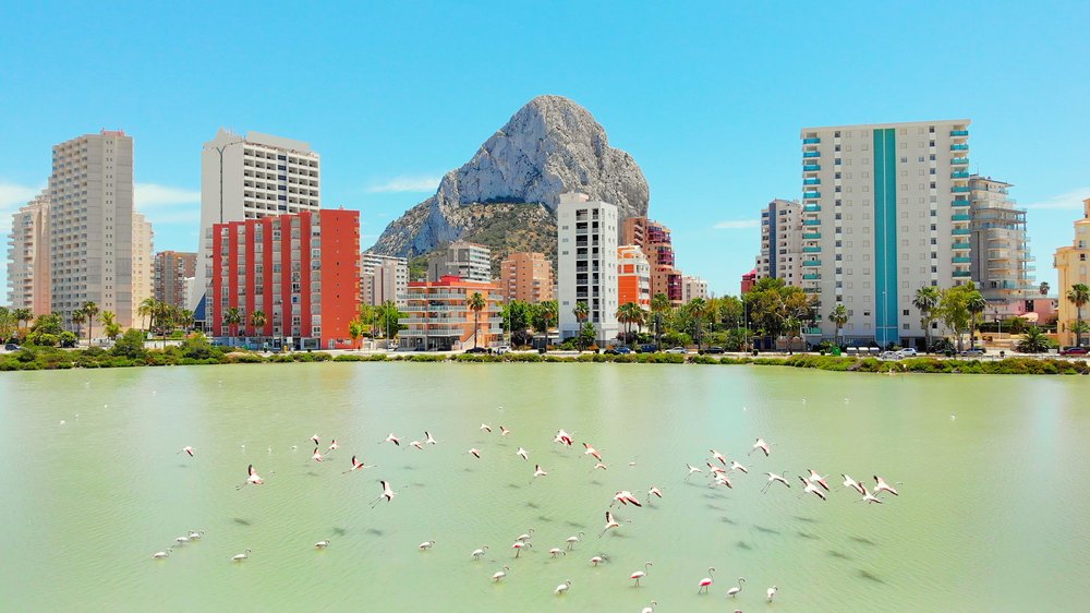 Stado flamingów na lagunie Las Salinas w Calpe, za wodą bloki i skała Peñón de Ifach