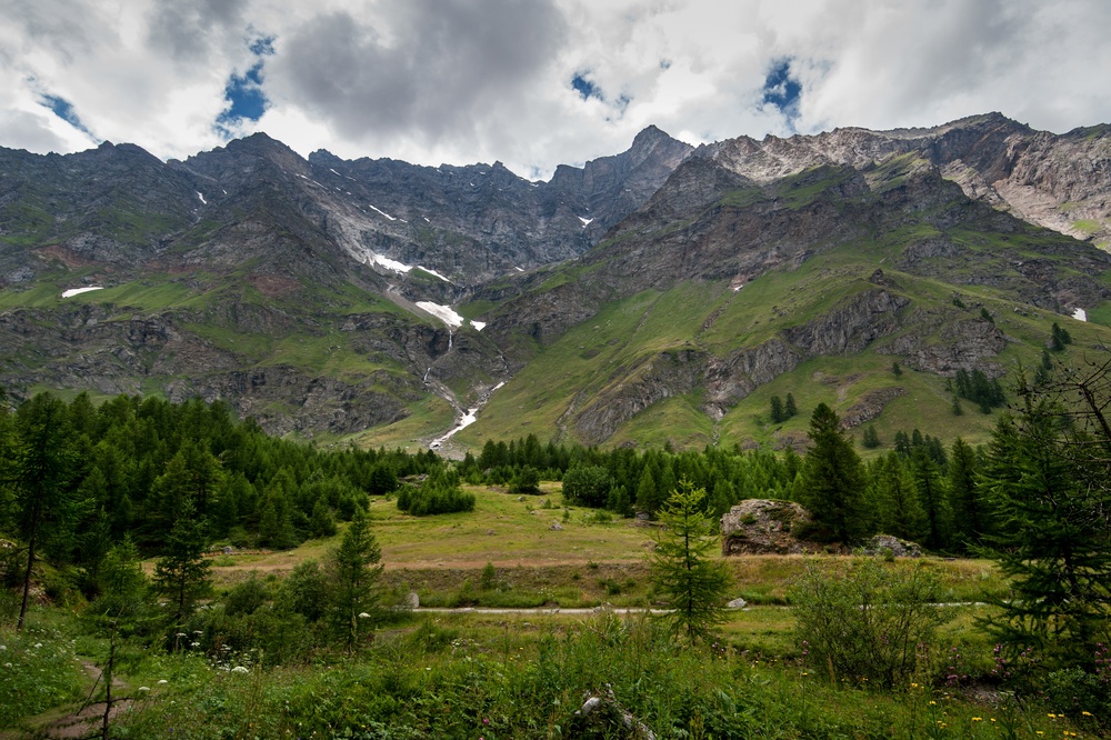Łąka i modrzewie pod skalnymi zboczami w Parku Narodowym Gran Paradiso, ze ściany spływają strumienie