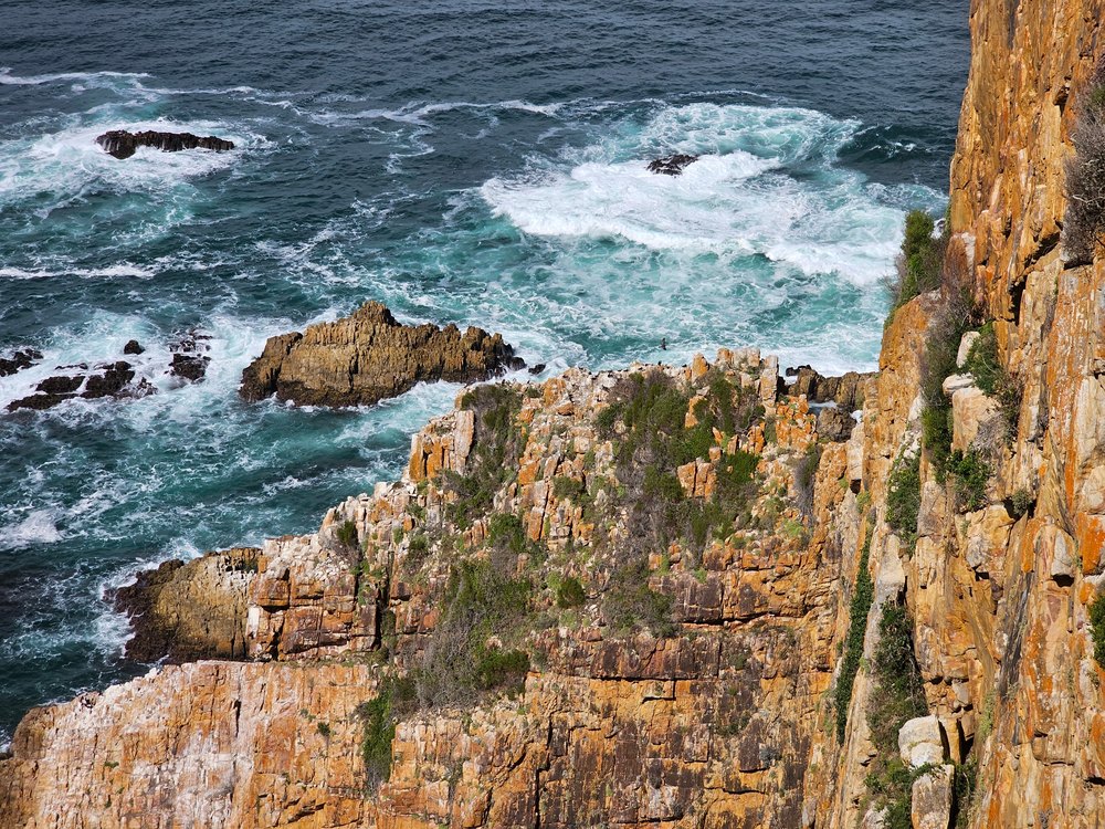 Skaliste klify i fale oceanu w Hermanus