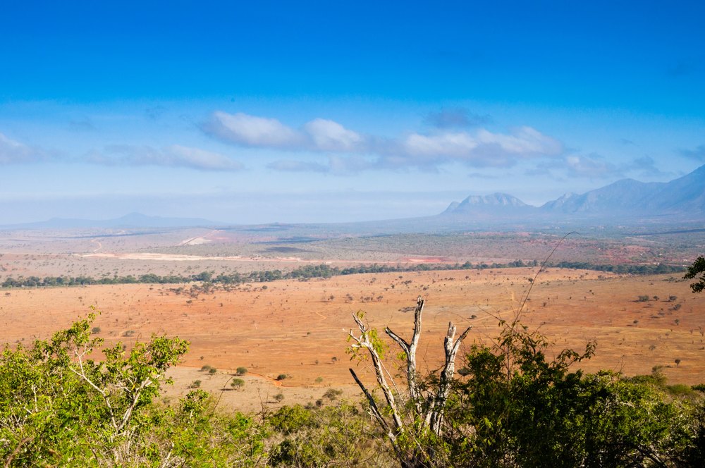 Widok z Kudu Point na równiny Tsavo West i góry na horyzoncie