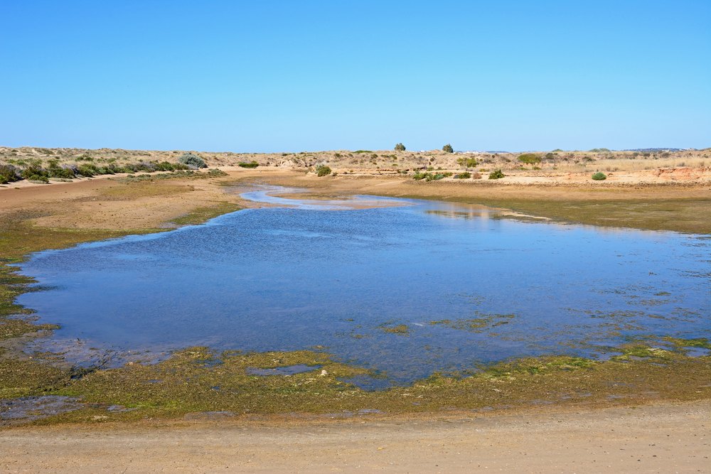 Płytkie rozlewisko laguny Ria de Alvor między piaszczystymi wydmami