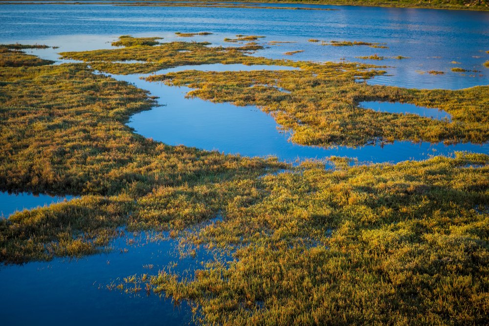 Słone łąki i kręte kanały laguny Ria Formosa pod Faro, widok z góry