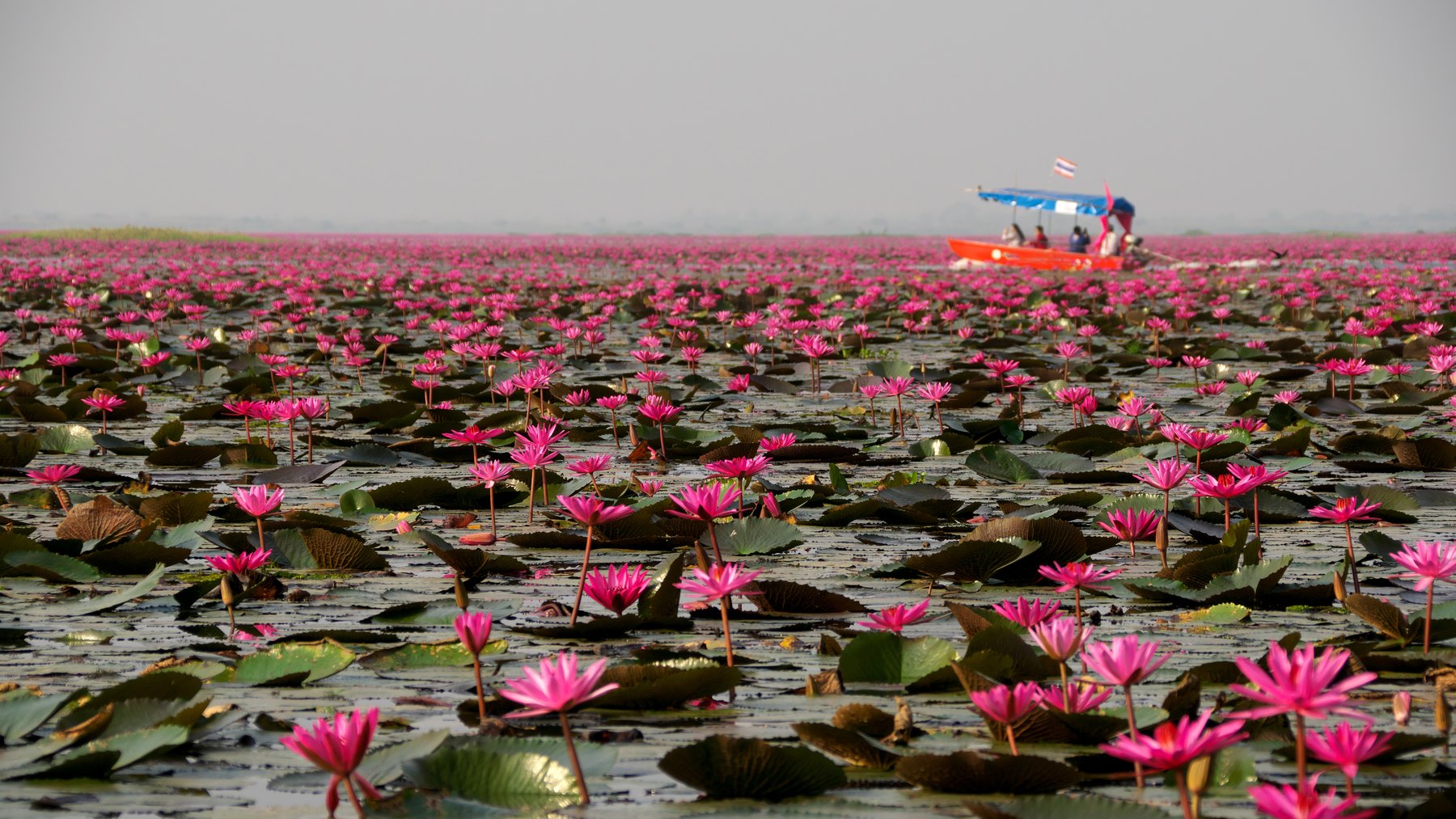 Udon Thani