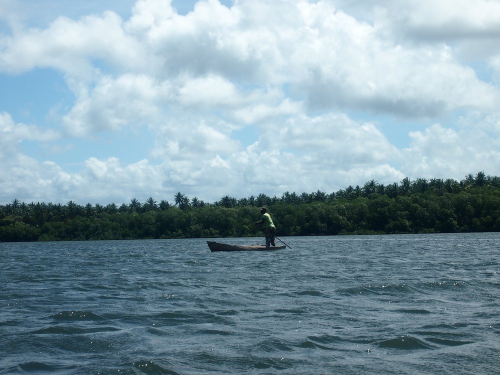 Rybak na łodzi w zatoce Mida Creek pod Watamu, za nim las mangrowy
