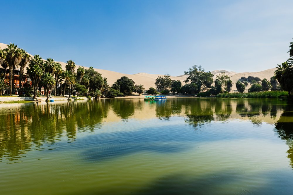 Laguna z palmami w oazie Huacachina pod wydmami koło Ica