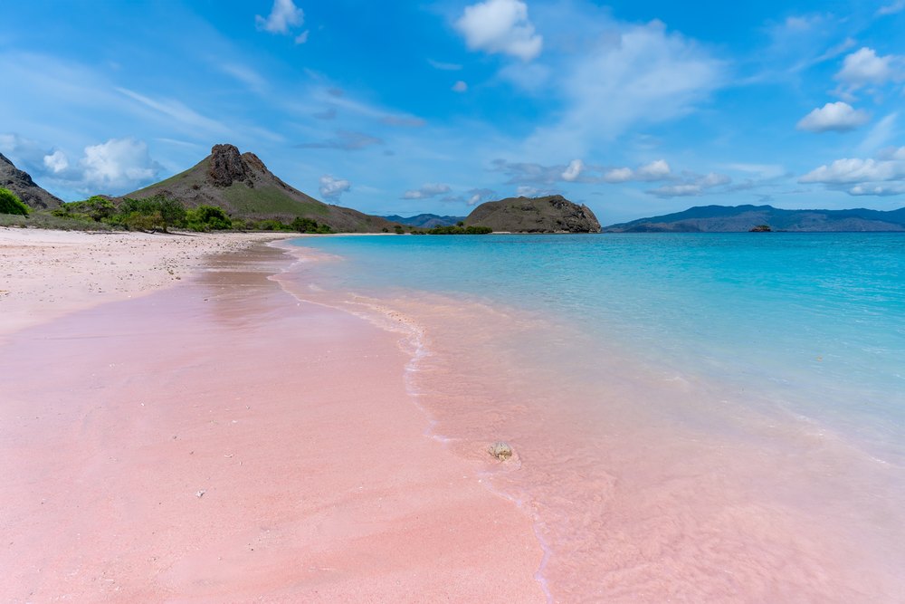 Różowy piasek Pink Beach na wyspie Komodo nad turkusową wodą