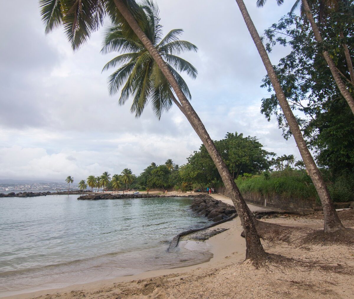 Plaża Pointe du Bout w Les Trois-Îlets, pochylone palmy nad piaskiem i zatoką
