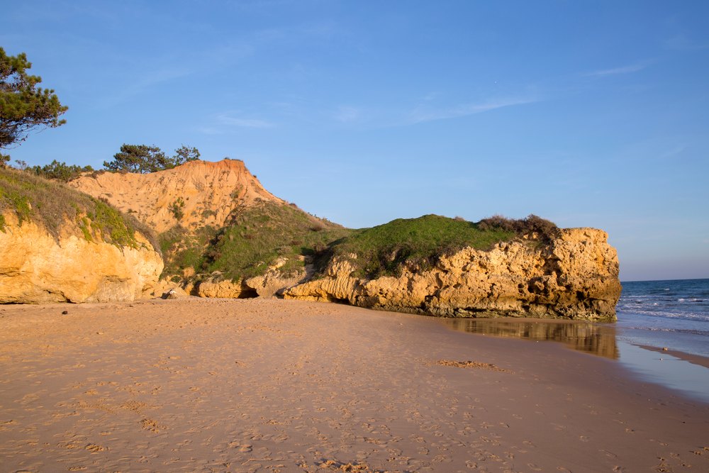 Piaszczysta plaża Santa Eulália pod złotym klifem porośniętym roślinnością, w Albufeirze