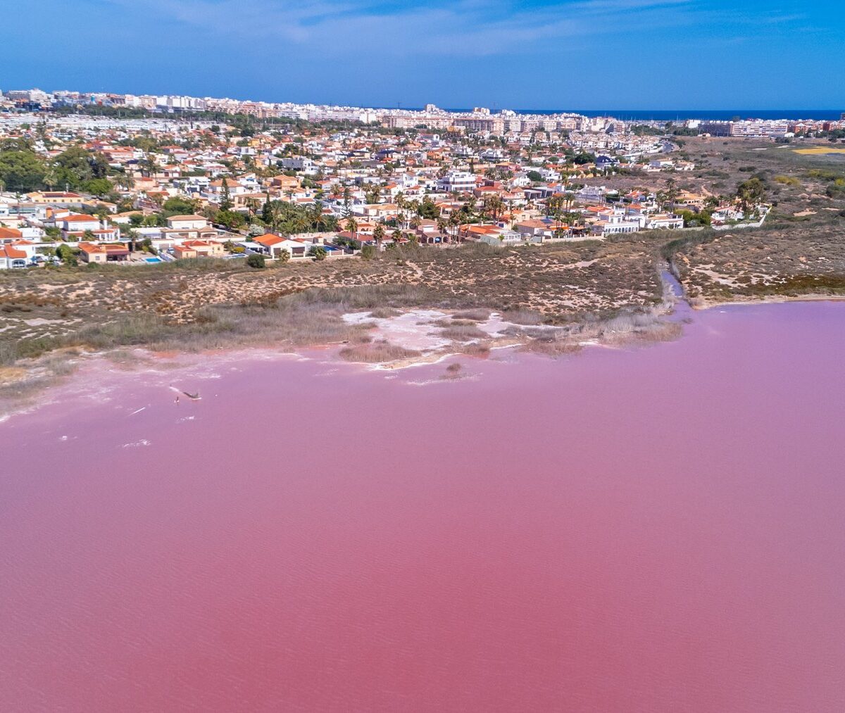 Różowa woda Laguna Rosa przy Torrevieji, za brzegiem domy miasta, widok z lotu ptaka
