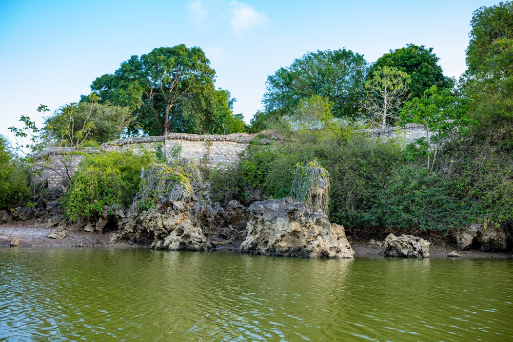 Koralowe skały i zieleń nad rzeką Kongo w Diani Beach