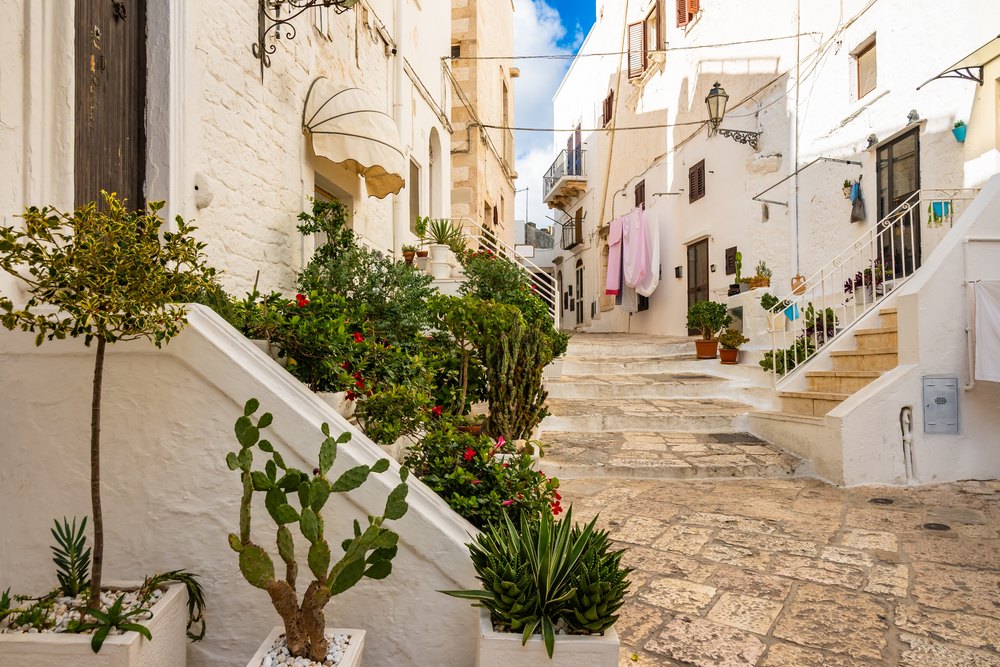 Bielona uliczka ze schodami, kaktusami i doniczkami na starym mieście Terra w Ostuni