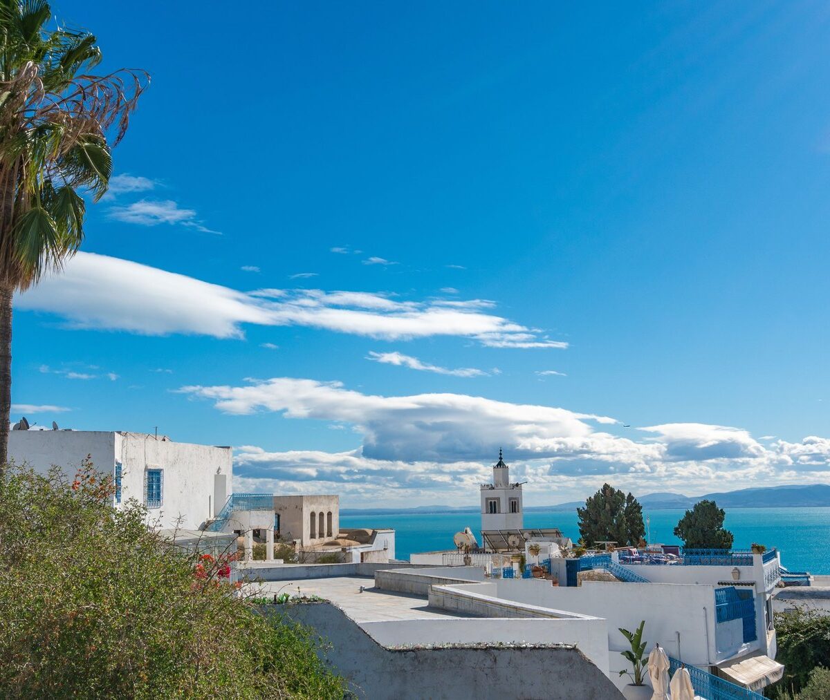 Biało-niebieskie domy Sidi Bou Said na cyplu nad Zatoką Tunezyjską, nad nimi palma i minaret