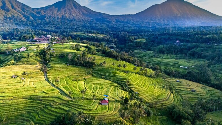 Tarasy ryżowe Jatiluwih pod wulkanami w regencji Tabanan na Bali