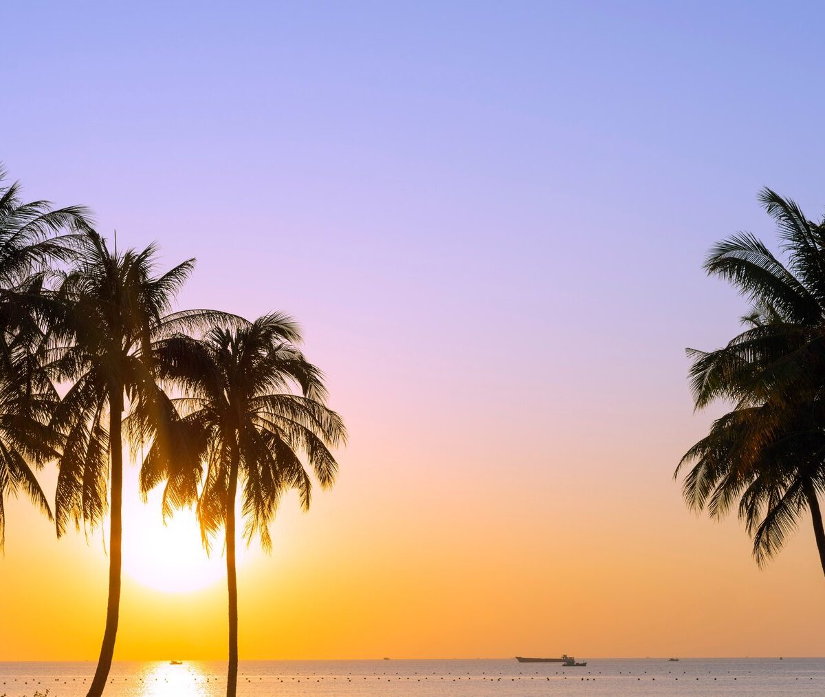 Sylwetki palm kokosowych na tle zachodu słońca nad morzem na Long Beach na Phu Quoc